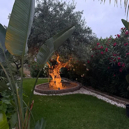 Bed & Breakfast Casa Martens