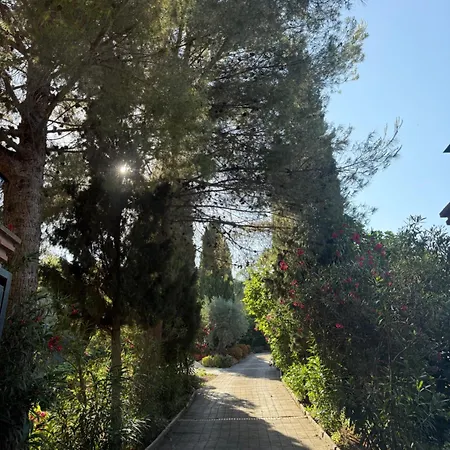 Casa Martens Bed and breakfast 3*